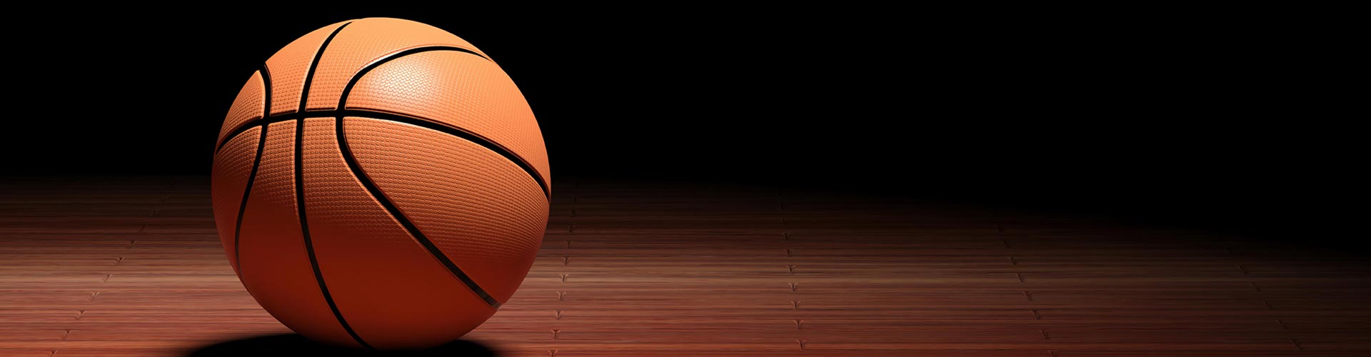Discover the youth basketball camps offered by Mercadel Basketball.
